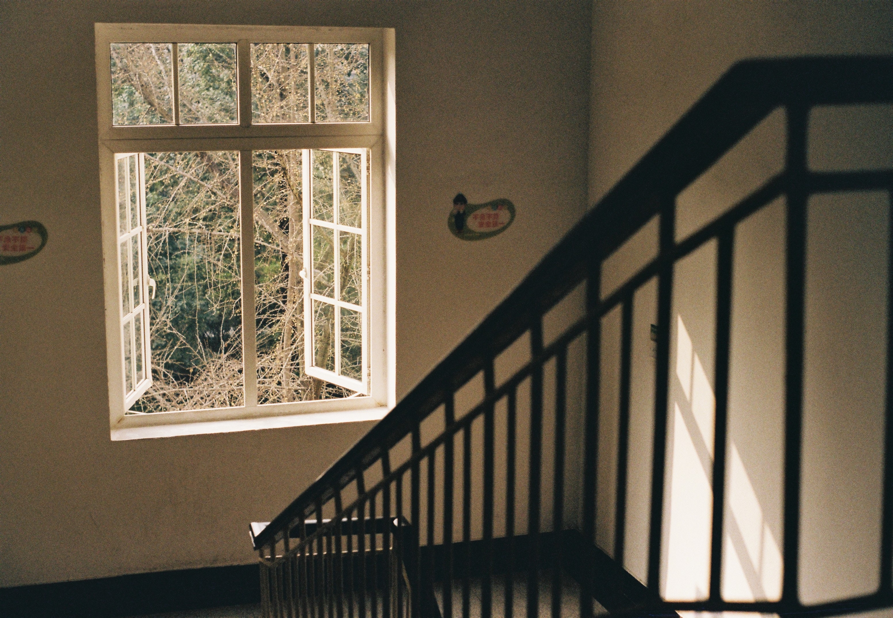 Portfolio sample 1